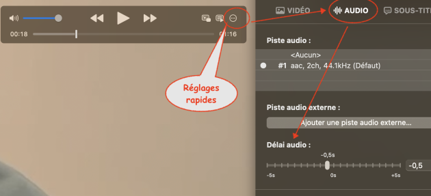 R&eacute;glage de la synchronisation avec IINA